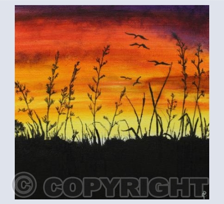  SUNSET MEADOW 