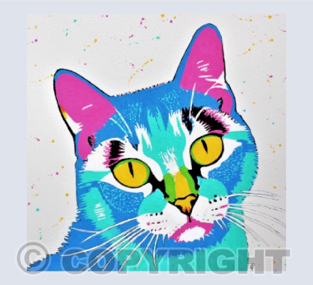 COLOURFUL CAT