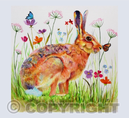 THE HARE AND THE BUTTERFLY