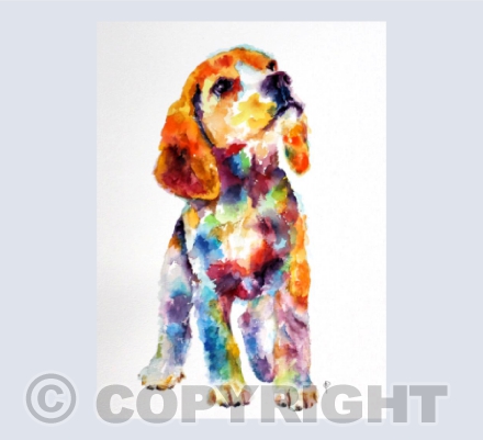 COLOURFUL PUPPY