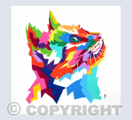 COLOURFUL CAT (2)