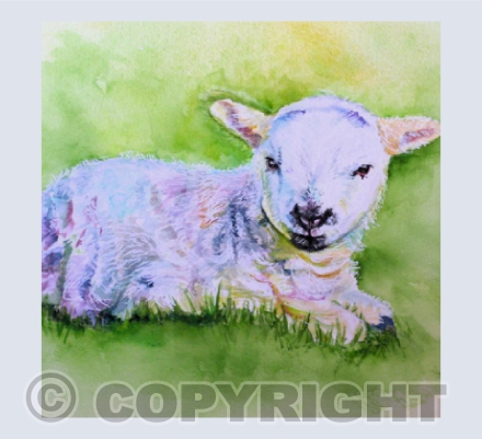 SPRINGTIME LAMB