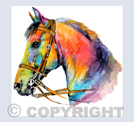 A PORTRAIT IN COLOUR