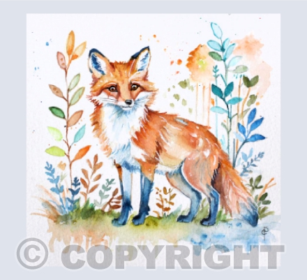 RED FOX
