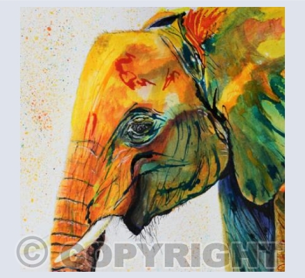 ELEPHANT HEAD (2)