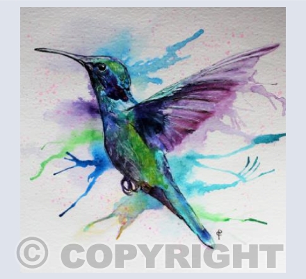 HUMMINGBIRD