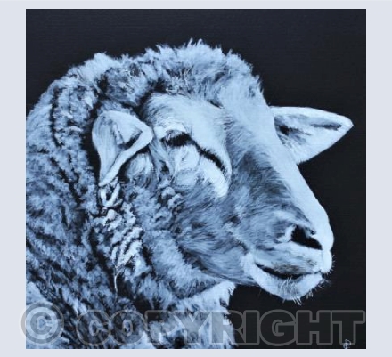 SHEEP ON BLACK