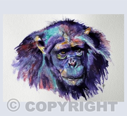 CHIMP