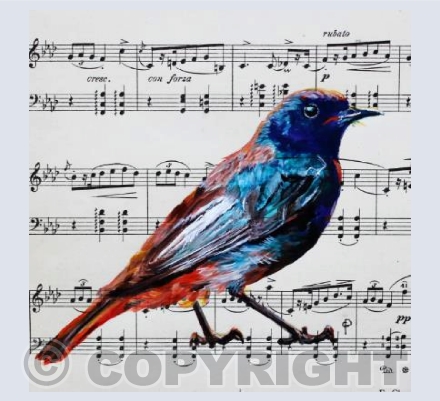 MUSICAL BLACKBIRD