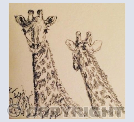 Which way we looking?