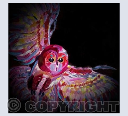 Baby Owl