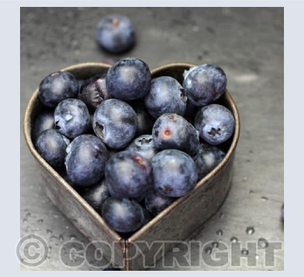 Blueberry Love