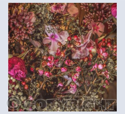 Winter Bouquet