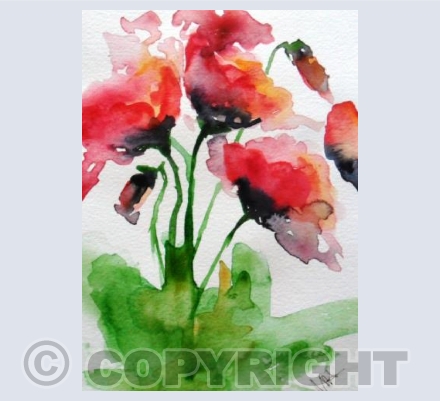 Poppies