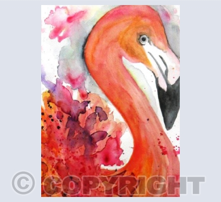 Feathery Flamingo