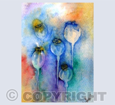 Seedheads