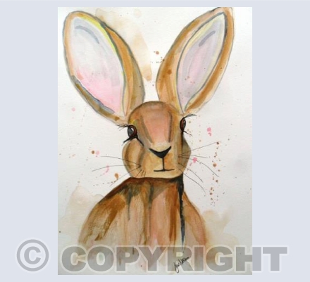 Rabbit