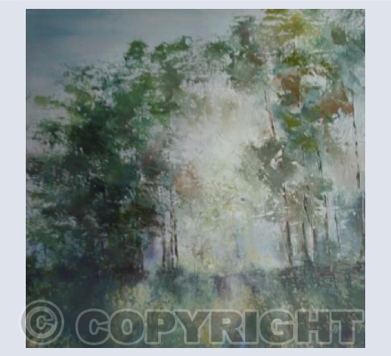 Winter Sunlight on Haddon Hill Exmoor