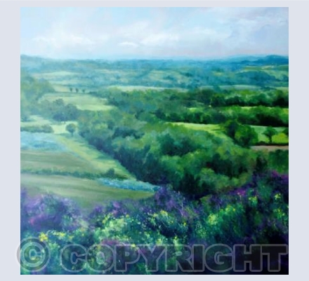 Looking South from Sampford Moor