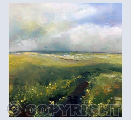 Sunlight on the gorse