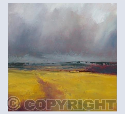 Hail approaching the moor