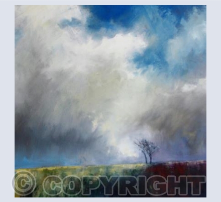 Huddling into the wind