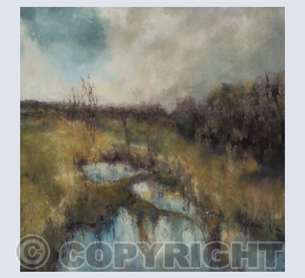Saturated moorland