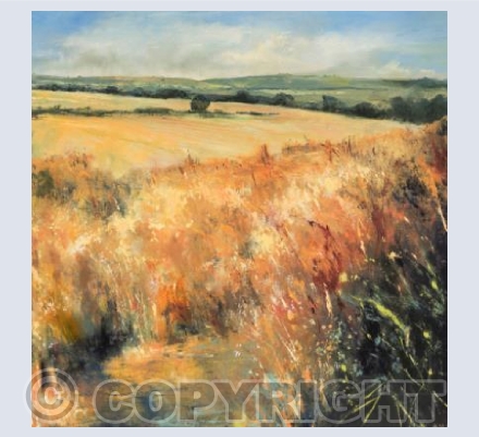 Wheatfields in Summer