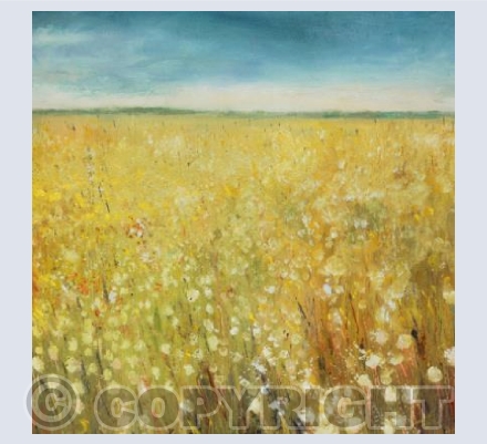 Dandelions