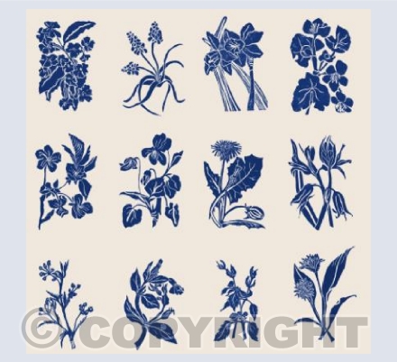 Somerset Hedgerow - Spring 2020