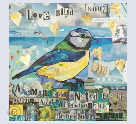 Love Bird