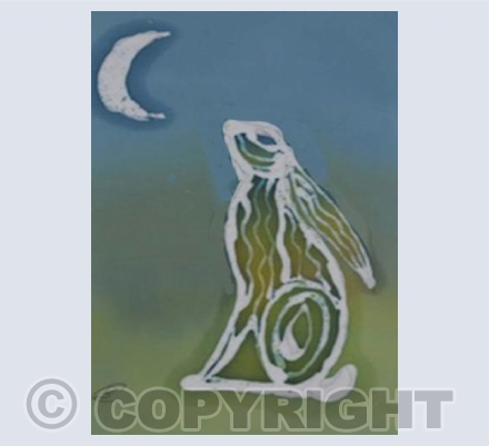 Catching the Moon 