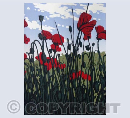 Roadside Poppies