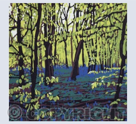 Bluebells on a Bright Day