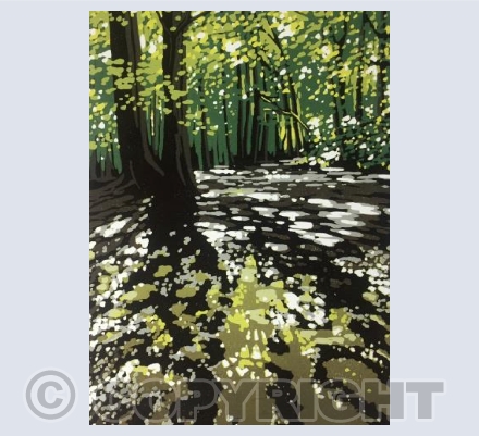 Summer Woodland Puddles