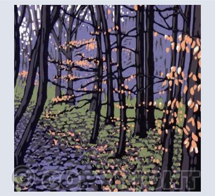 Beech Leaves in Winter