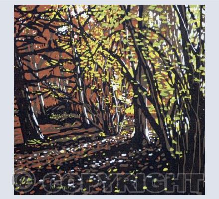 Autumn Colour at Stoke Wood