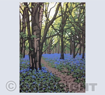 Bluebell Walk