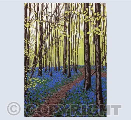 New Leaves and Bluebells