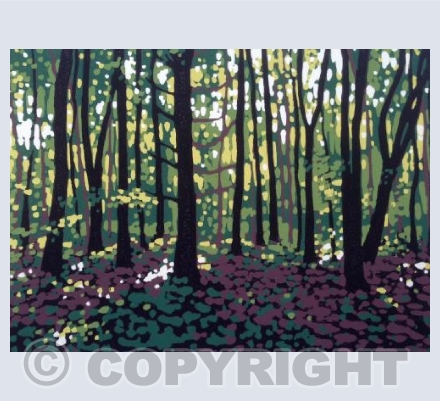 Summer Woodland