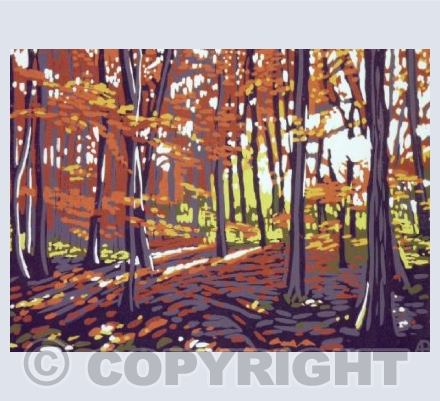 Stoke Wood in Autumn