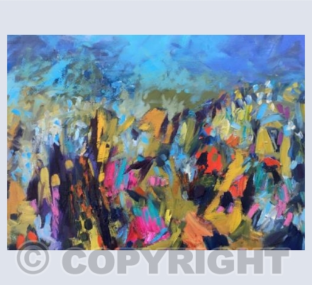 Tangled Field