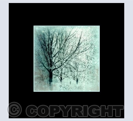 Winter Trees (black)