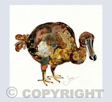 Dodo