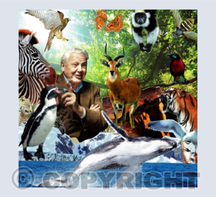 Sir David Attenborough