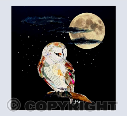 The Barn owl and the Moon