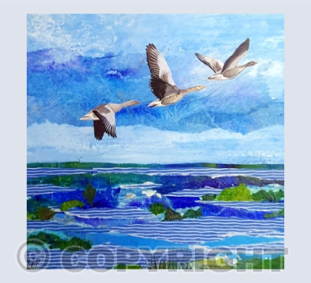 Flying over the floods on Port Meadow