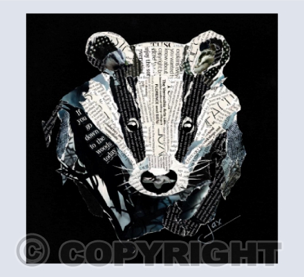 Mr Brock the Badger