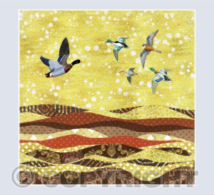 Flying over Summer Fields