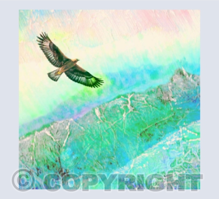 High Flyer